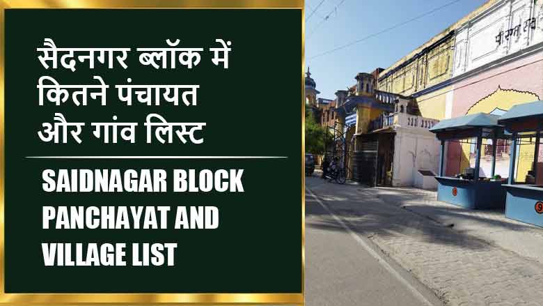 सैदनगर ब्लॉक में कितने पंचायत और गांव लिस्ट | Saidnagar Block Panchayat and Village List