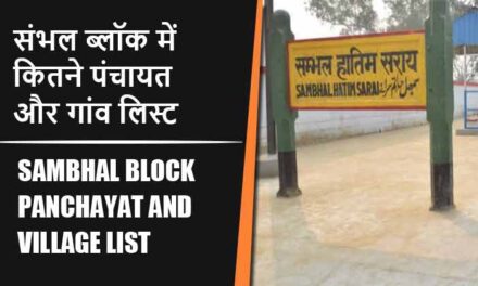 संभल ब्लॉक में कितने पंचायत और गांव लिस्ट | Sambhal Block Panchayat and Village List