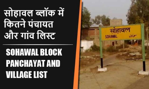 सोहावल ब्लॉक में कितने पंचायत और गांव लिस्ट | Sohawal Block Panchayat and Village List